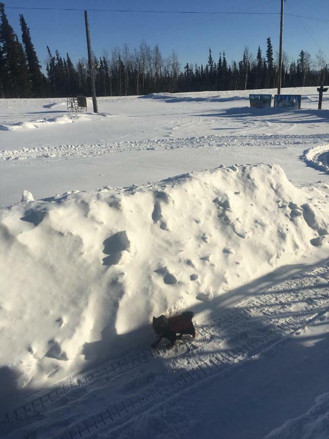 Villa Fireweed Roadhouse Nenana Esterno foto